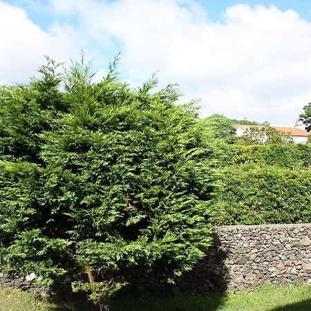 Apartamento Mar E Serra Ponta Delgada المظهر الخارجي الصورة