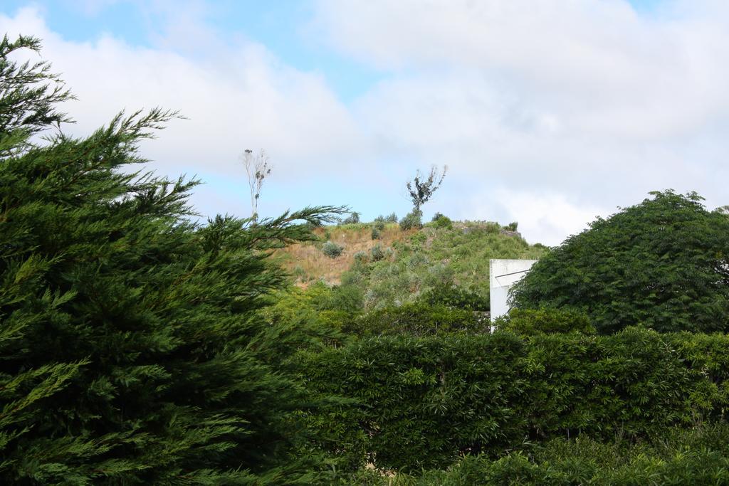 Apartamento Mar E Serra Ponta Delgada المظهر الخارجي الصورة
